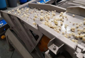 کنترلر مولد ارتعاش ویژه پیمان تحکیم