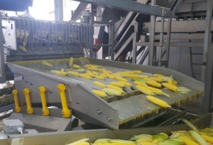 طراحی و ساخت کنترلر مولد ارتعاش - 01